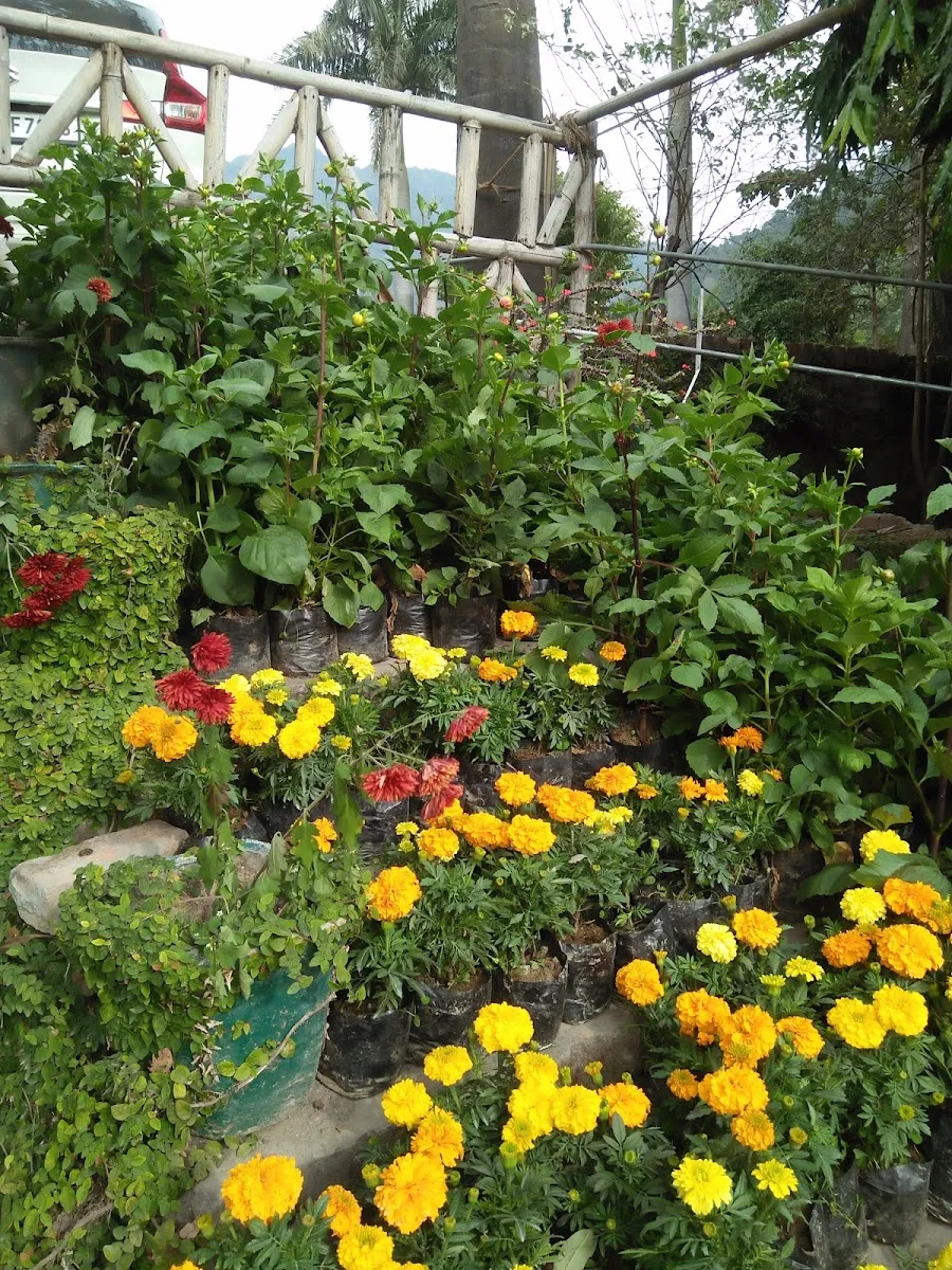 Chabad House Of Rishikesh — foto 3