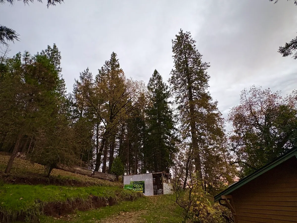 Chabad Jewish Center of Grass Valley — photo 10