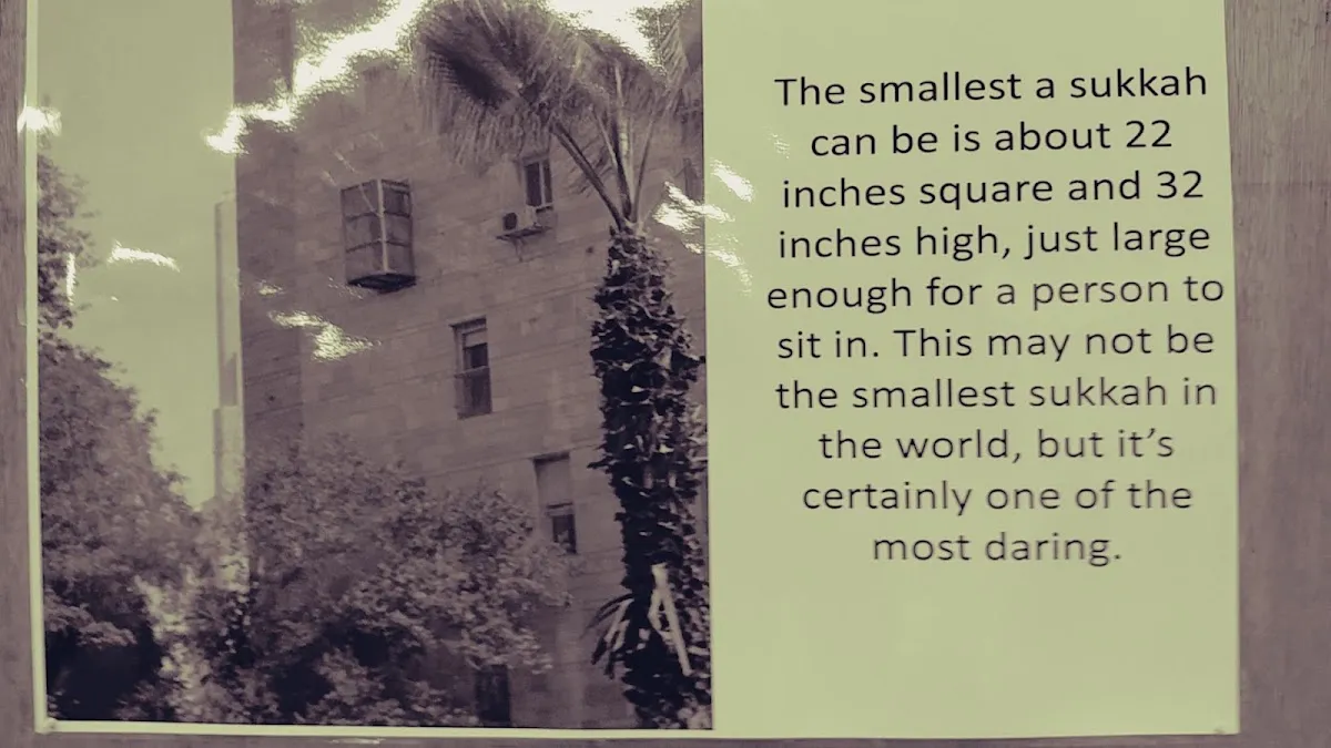 Chabad Jewish Center of Greensboro — photo 9