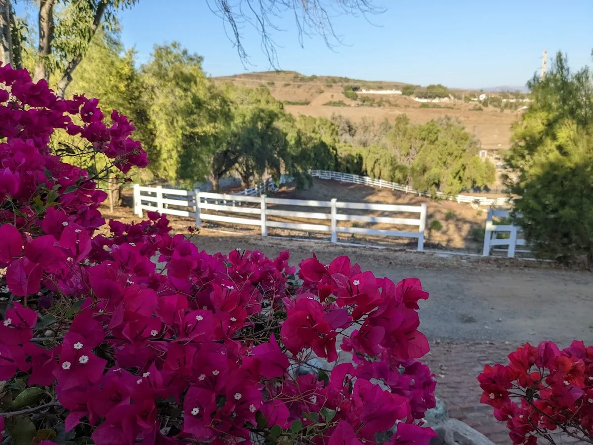 Chabad Jewish Center of Moorpark — photo 3