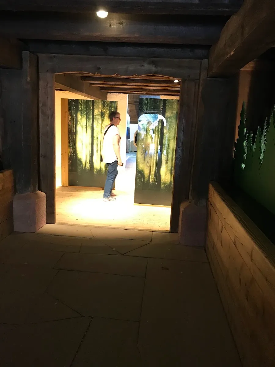 Chabad Lubavitch Basel — photo 5