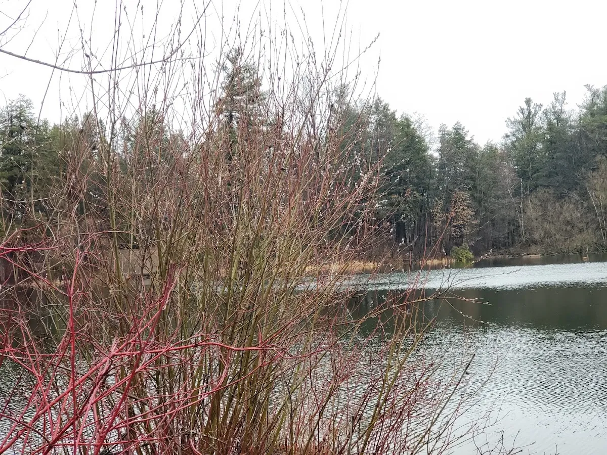 Chabad Lubavitch of Aurora — photo 7