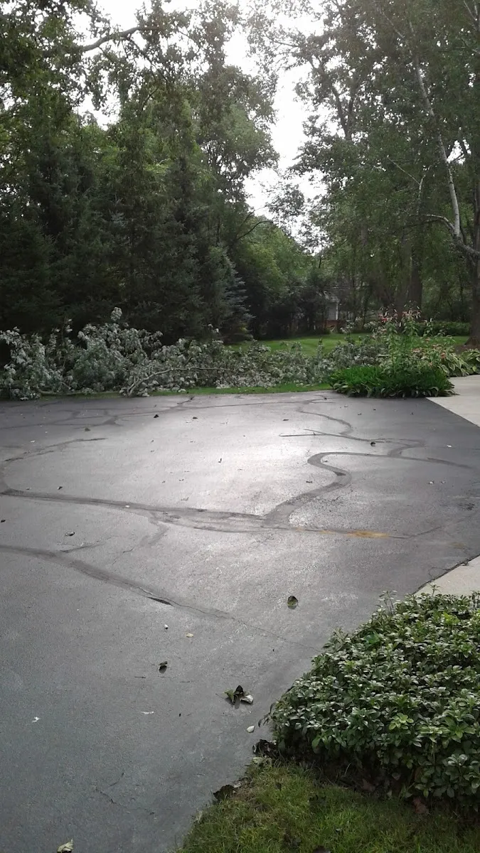 Chabad-Lubavitch of Bingham Farms — foto 4