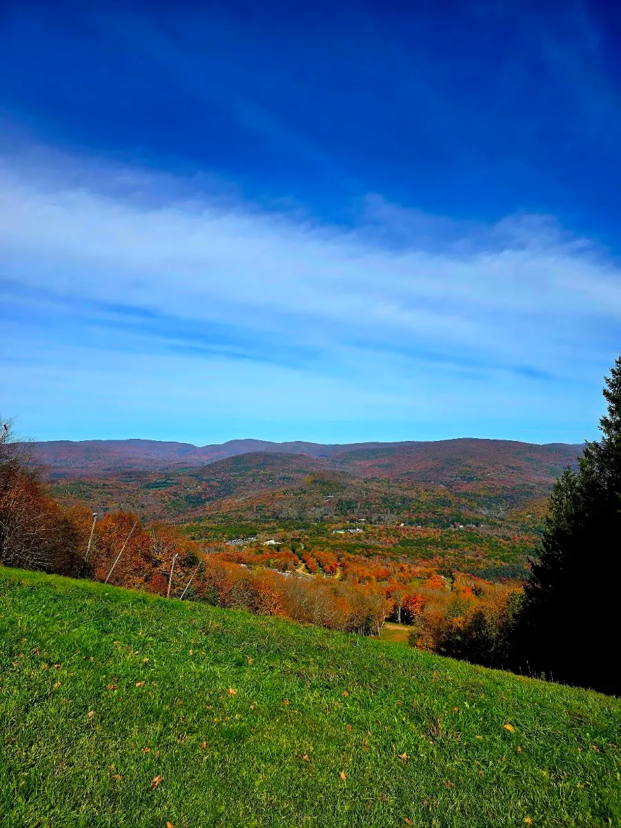Chabad-Lubavitch of Greene County