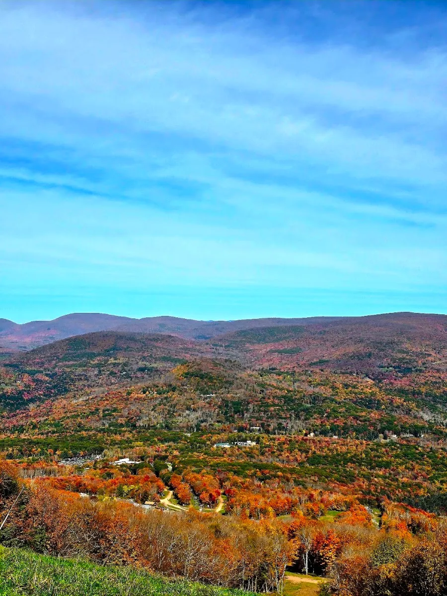Chabad-Lubavitch of Greene County — foto 2