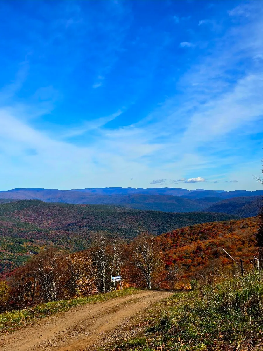 Chabad-Lubavitch of Greene County — foto 3