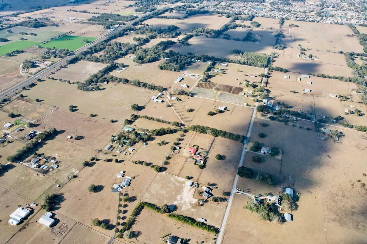Chabad Lubavitch of Ocala, The Villages and Tri County — photo 4