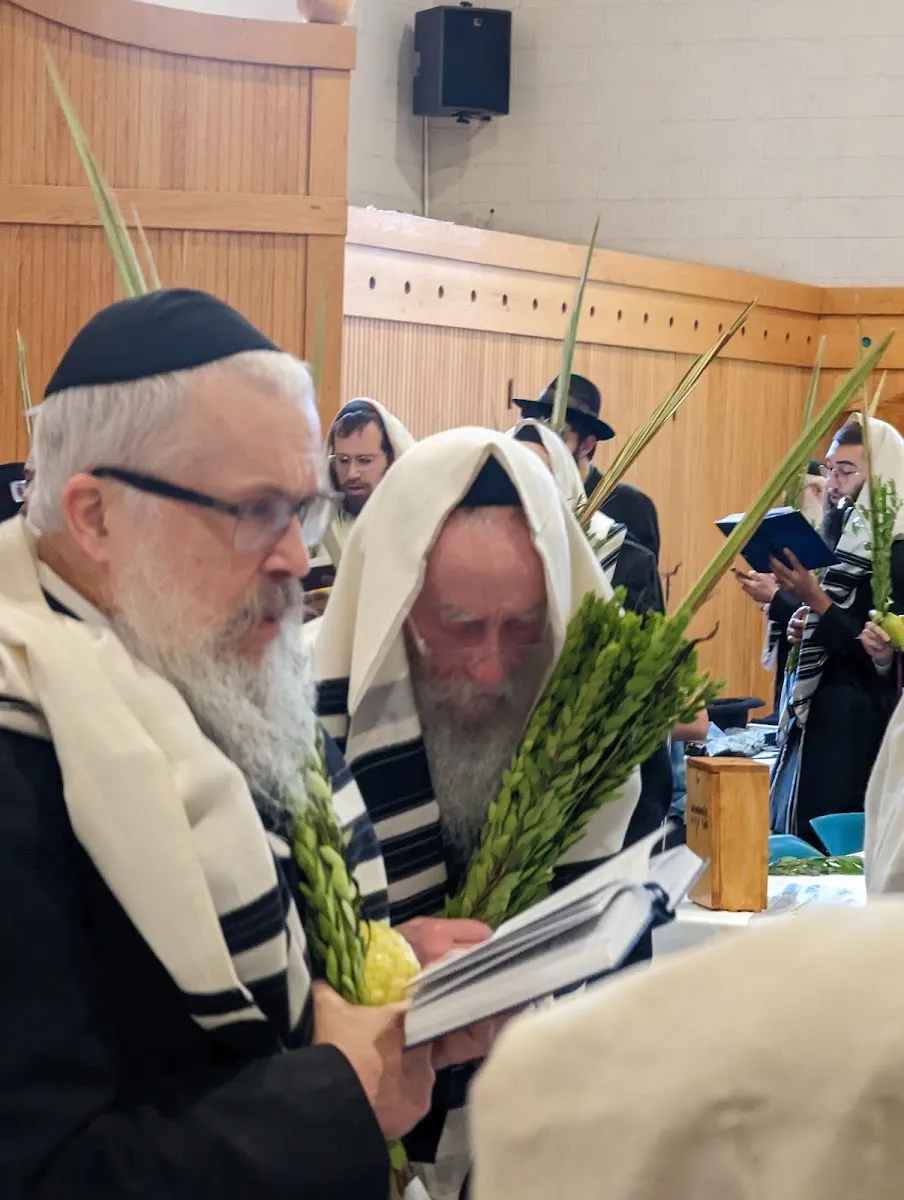 Chabad Lubavitch of Western Pennsylvania — foto 10