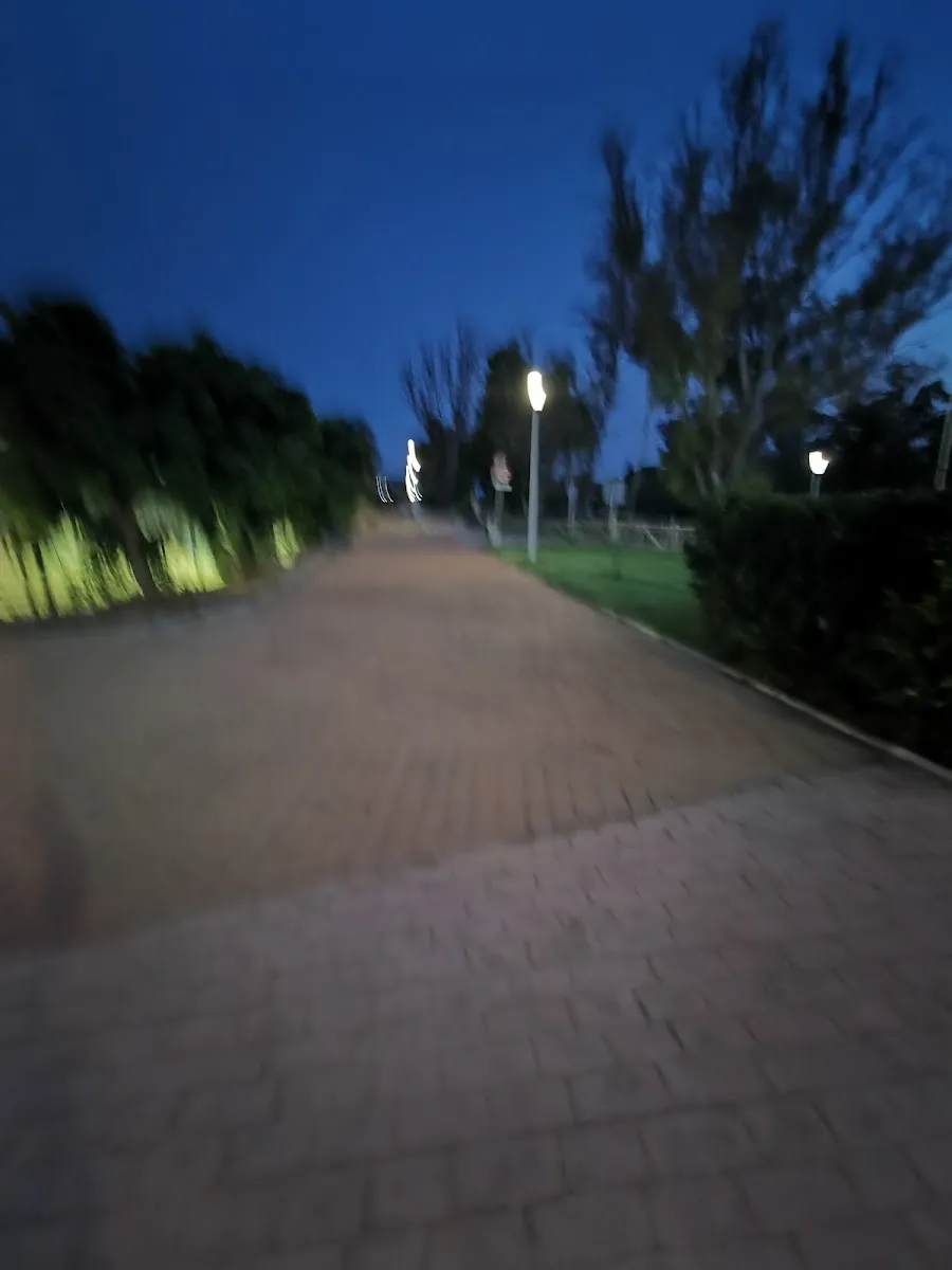 Chabad Marbella — foto 7