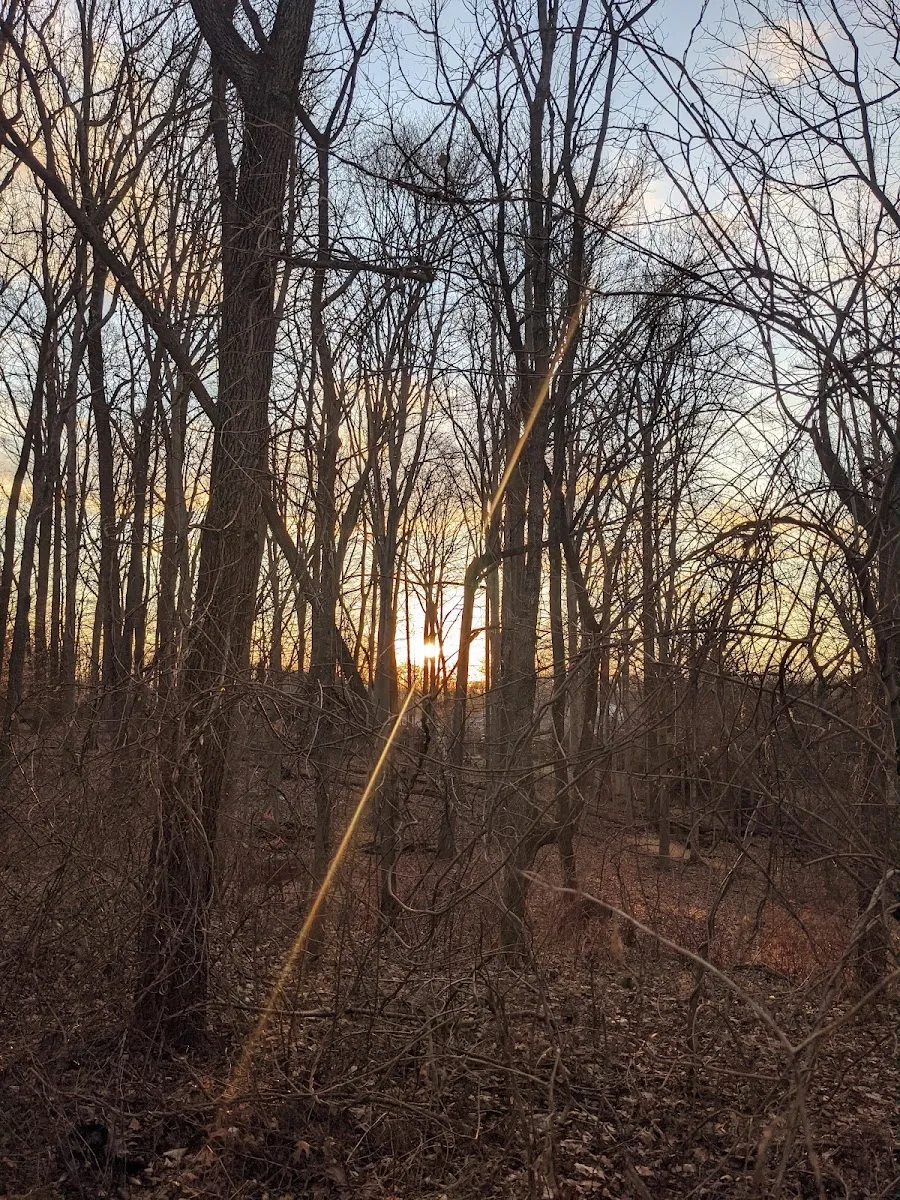 Chabad of Aspen Hill — photo 3