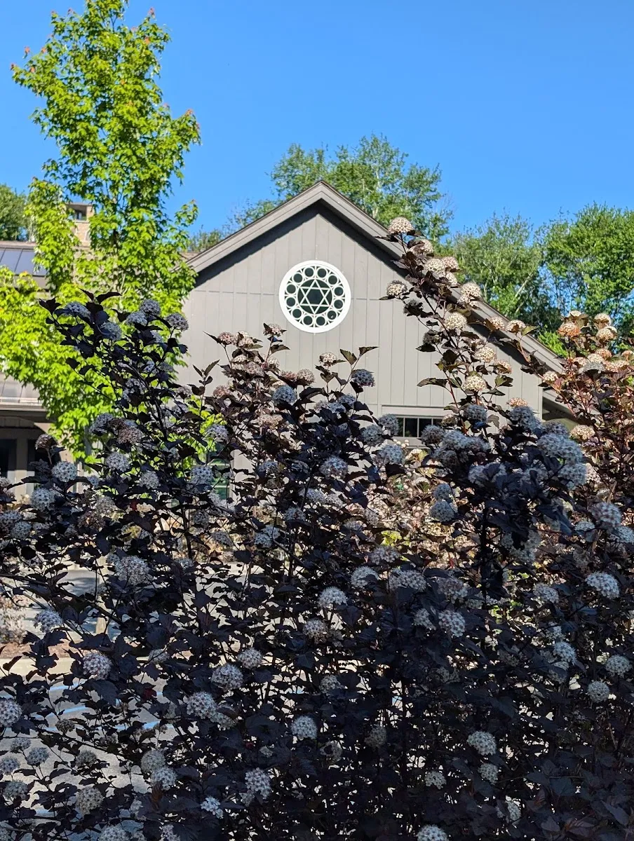 Chabad of Bedford — photo 5