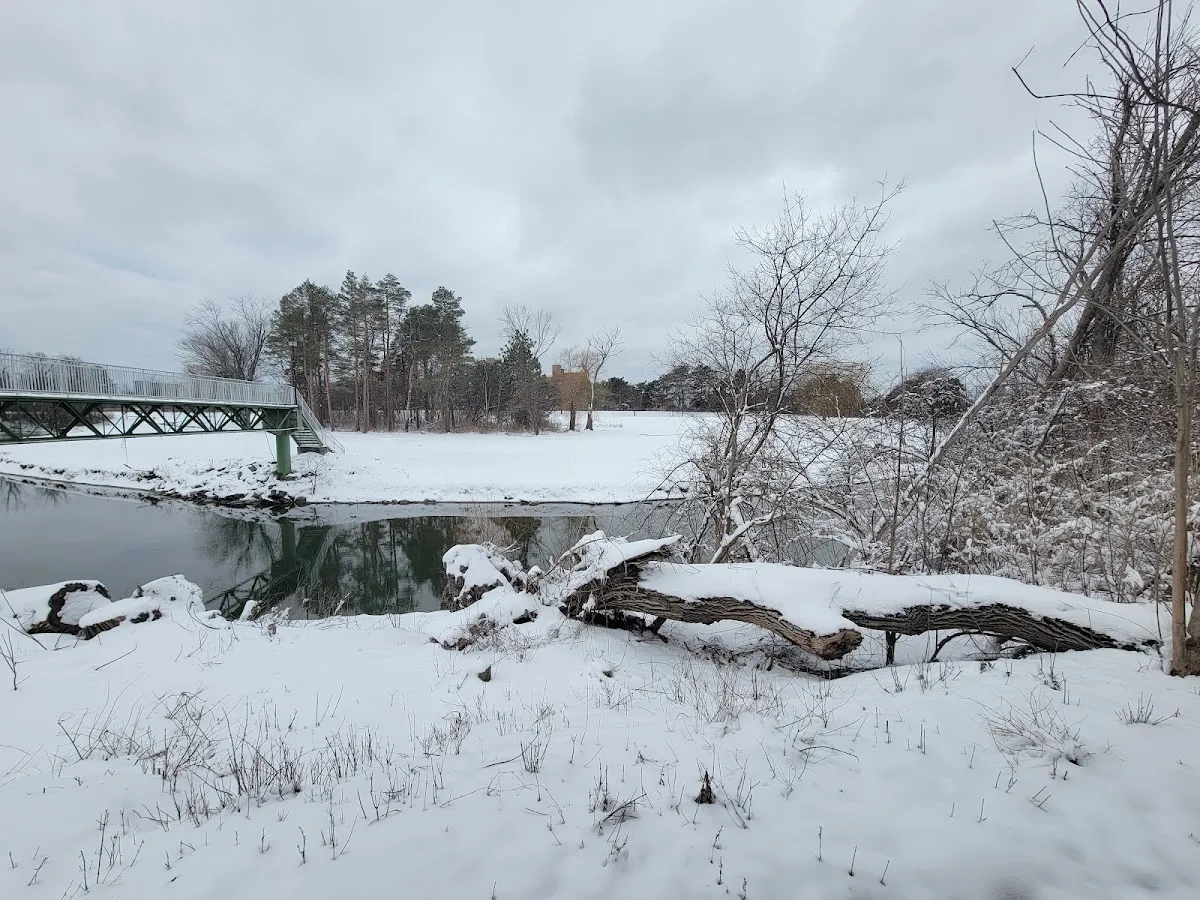 Chabad of Buffalo — foto 3