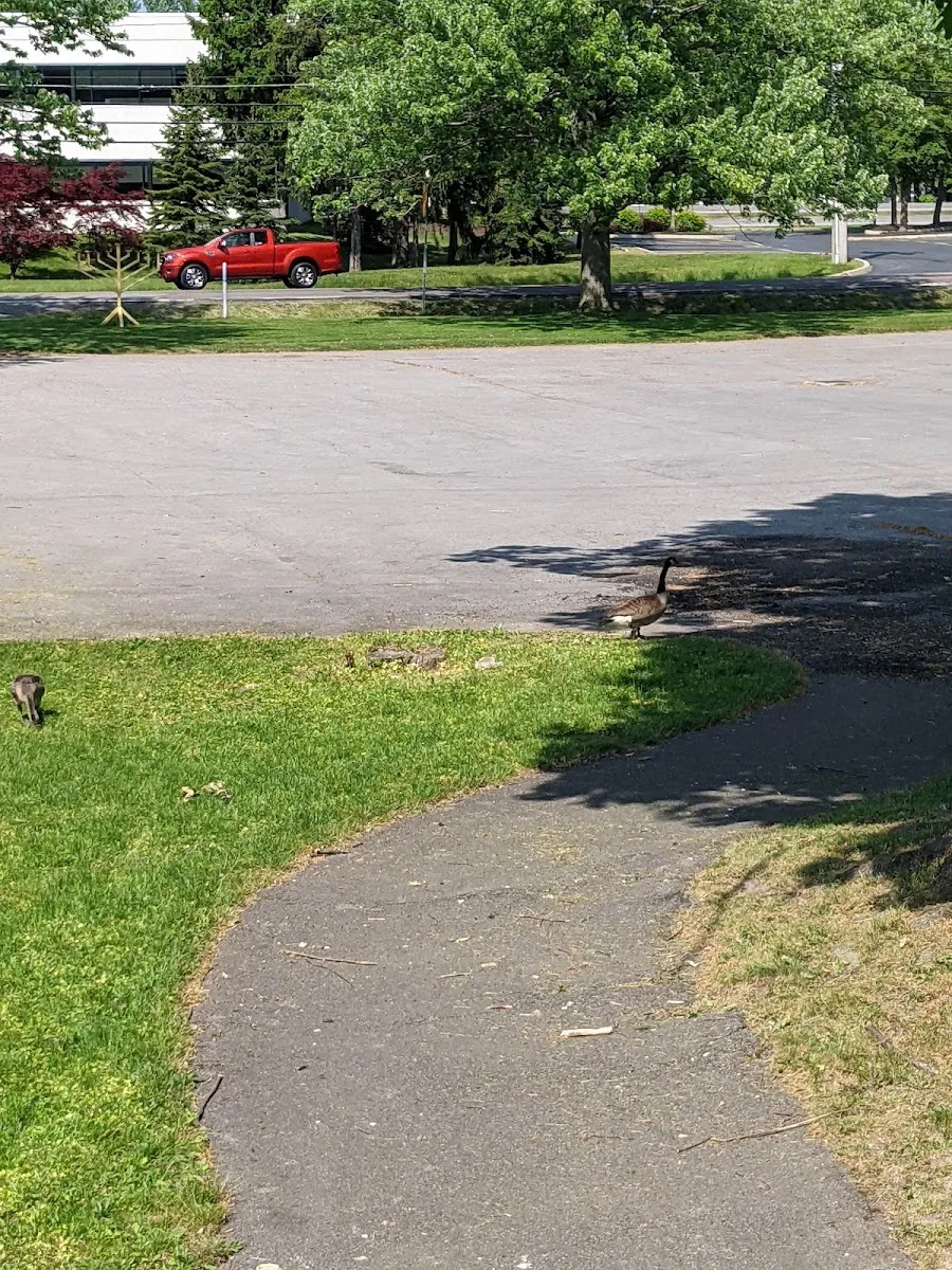 Chabad of Buffalo — foto 8
