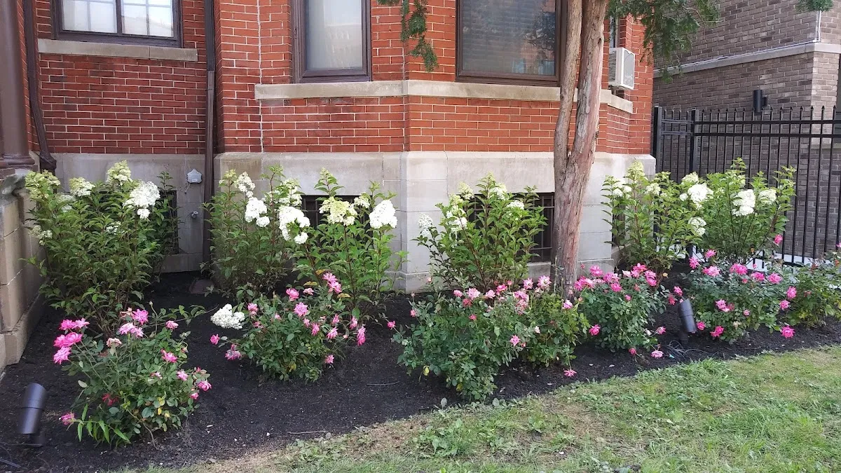 ChabaD of Greater Downtown Detroit — photo 5