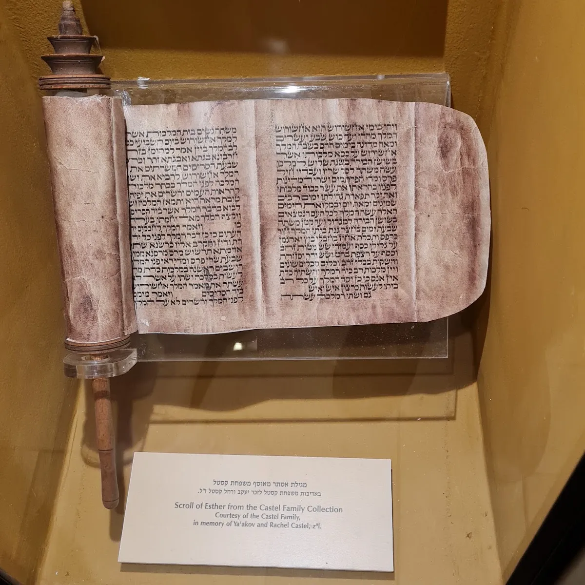 Chabad Of Hebron — photo 10