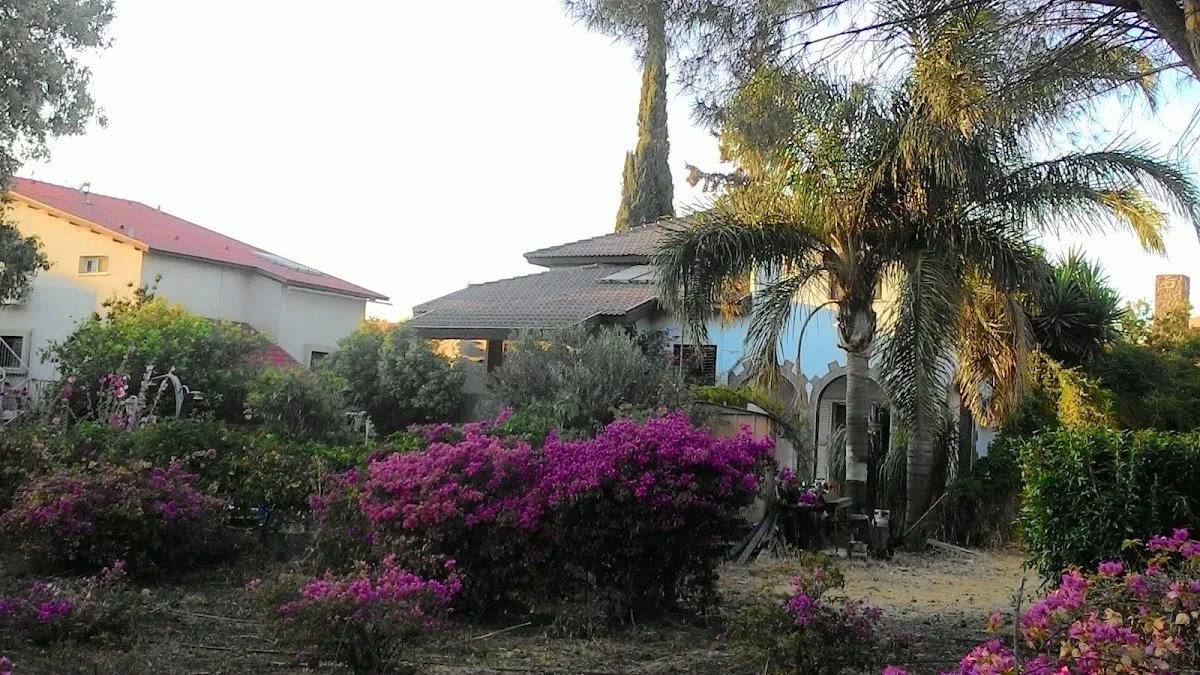 Chabad of Katsrin