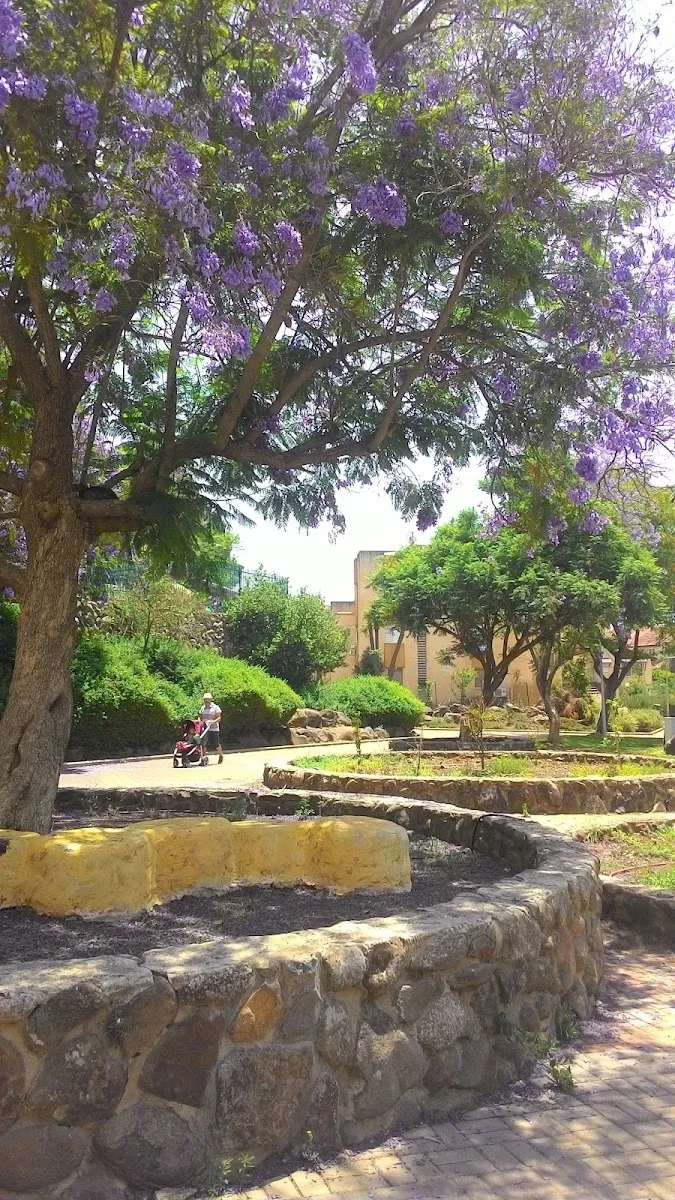 Chabad of Katsrin — foto 6
