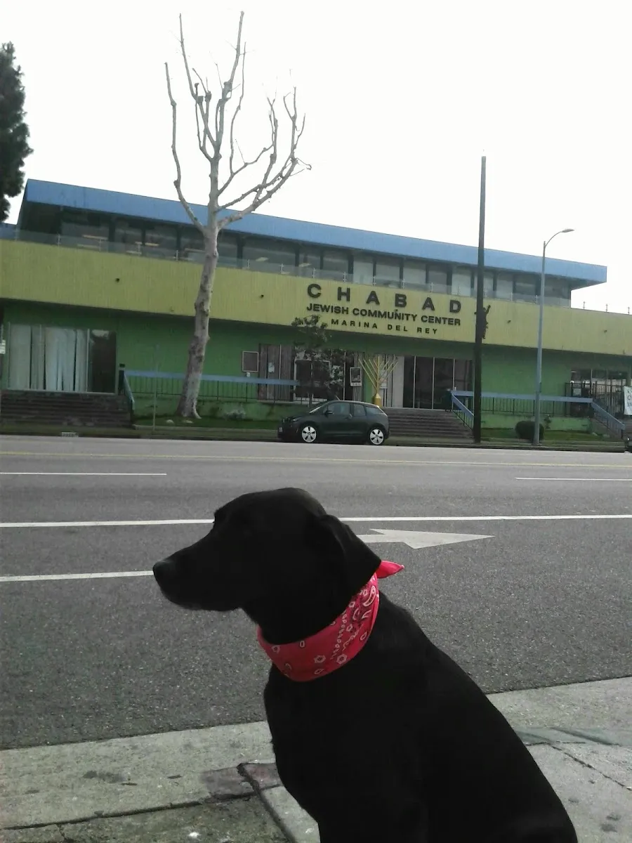 Chabad of Marina Del Rey — foto 8