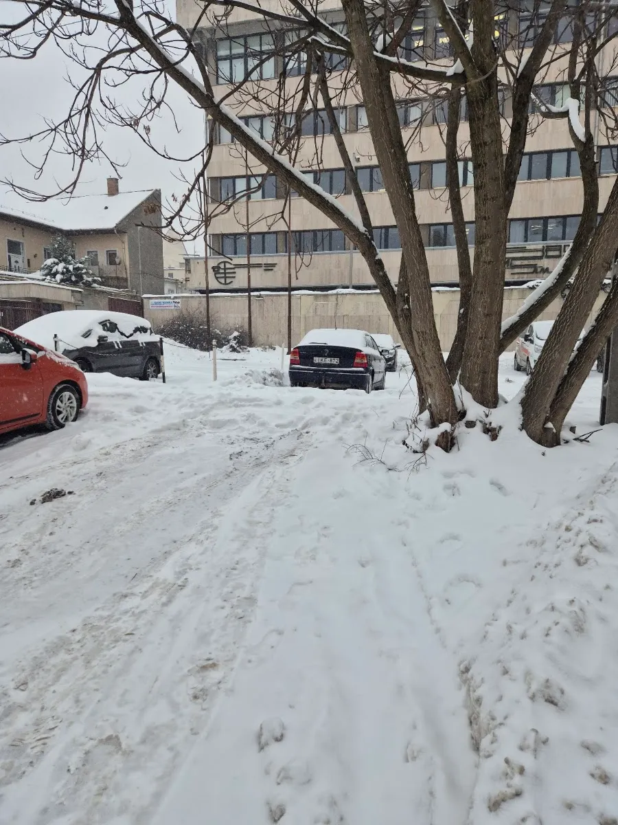 Chabad of Miskolc — photo 5