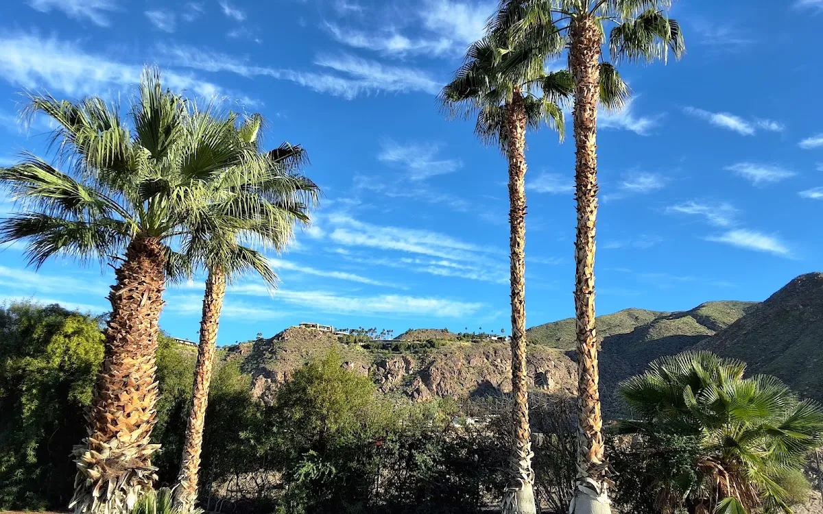 Chabad of Palm Springs — foto 3