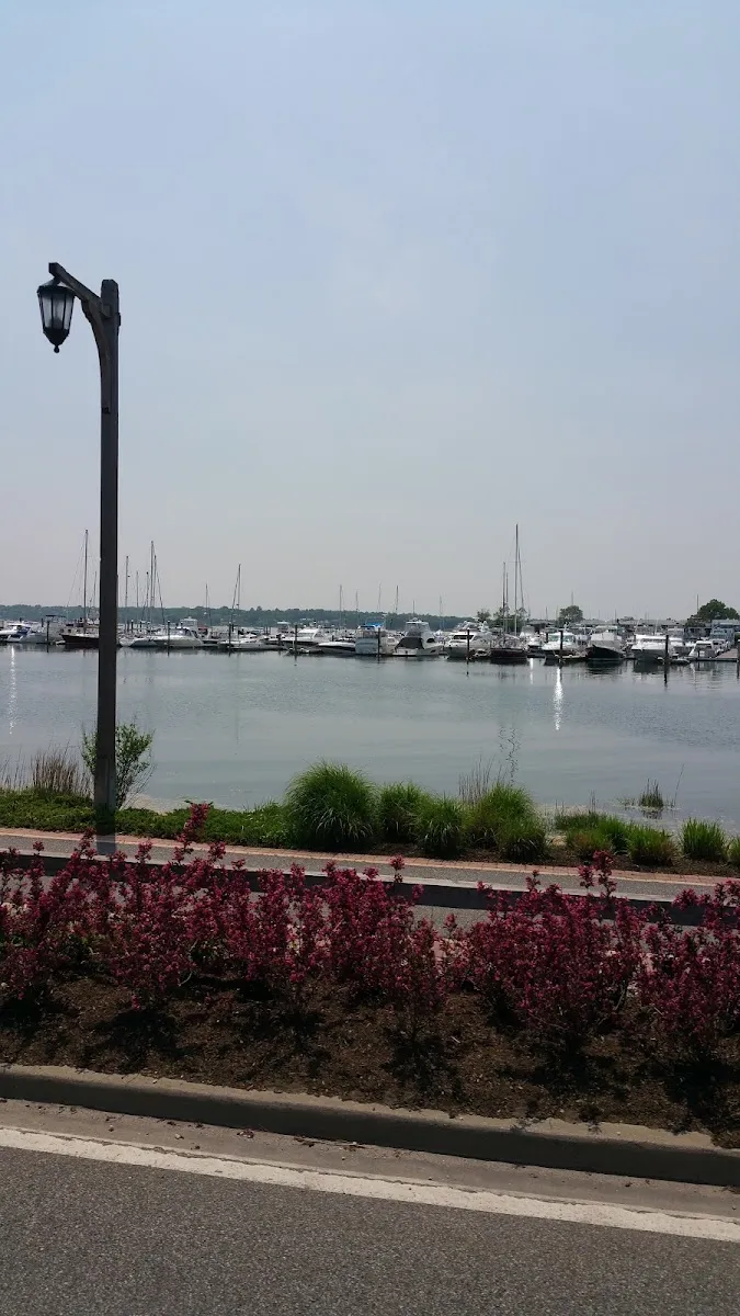 Chabad of Port Washington — foto 10
