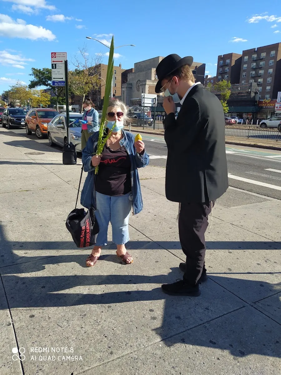 Chabad of Rego Park — photo 4