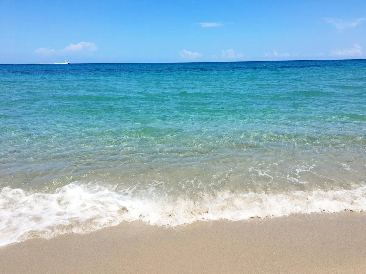 Chabad of Singer Island, Juno Beach & the Beaches — foto 10