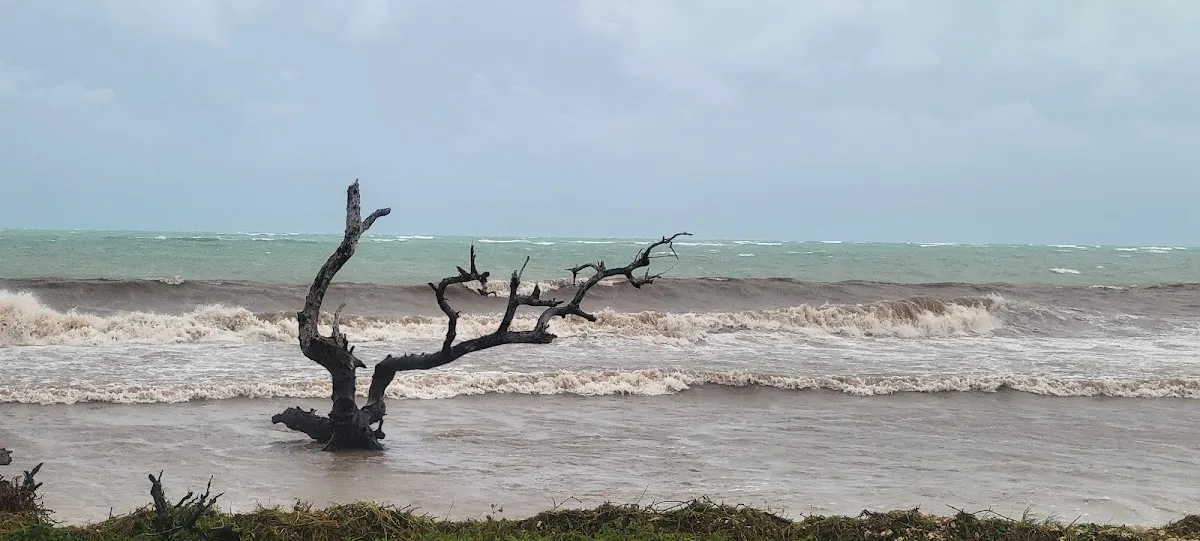 Chabad of the Florida Keys — photo 8