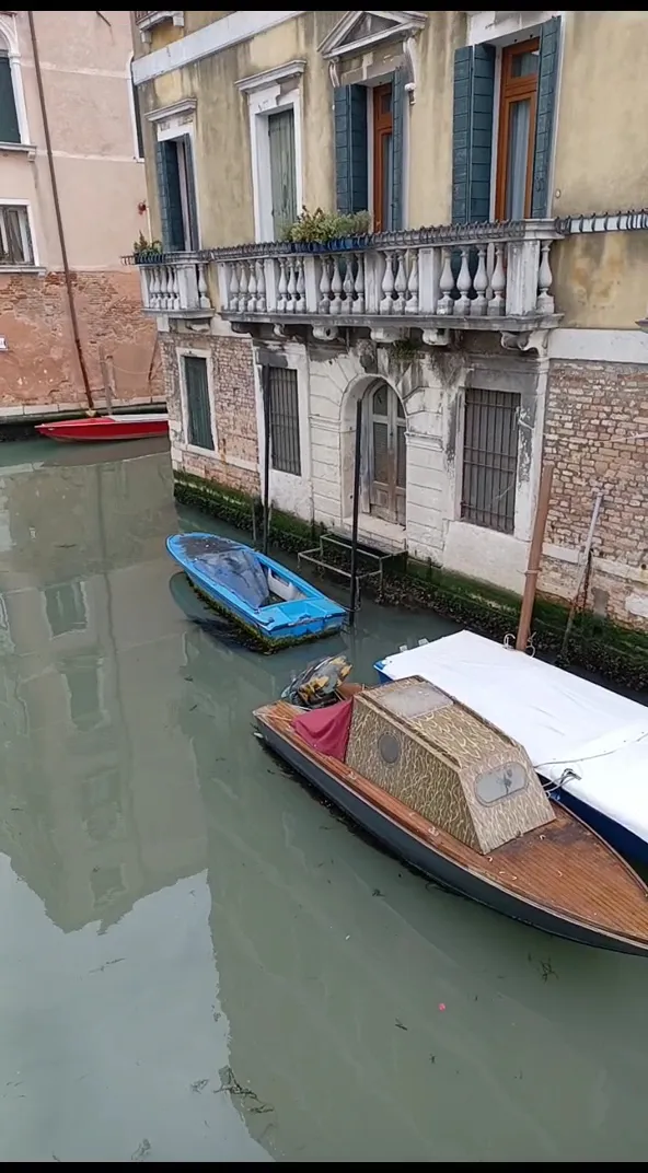 Chabad of Venice — photo 4