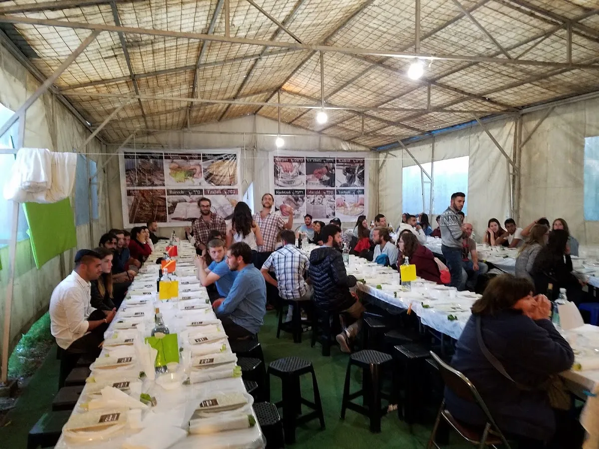 Chabad Pucon — foto 9