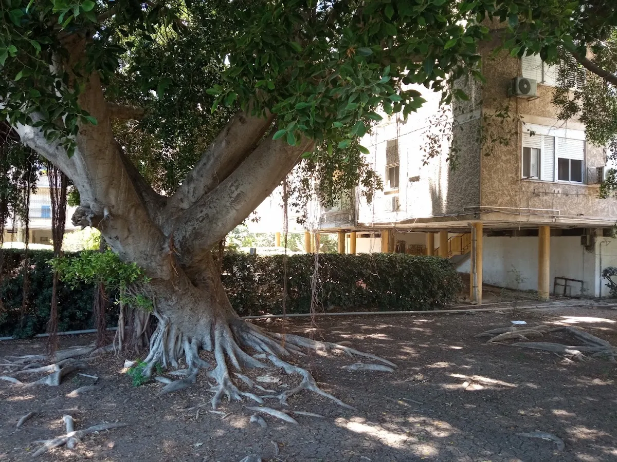 Chabad Rambam — foto 8