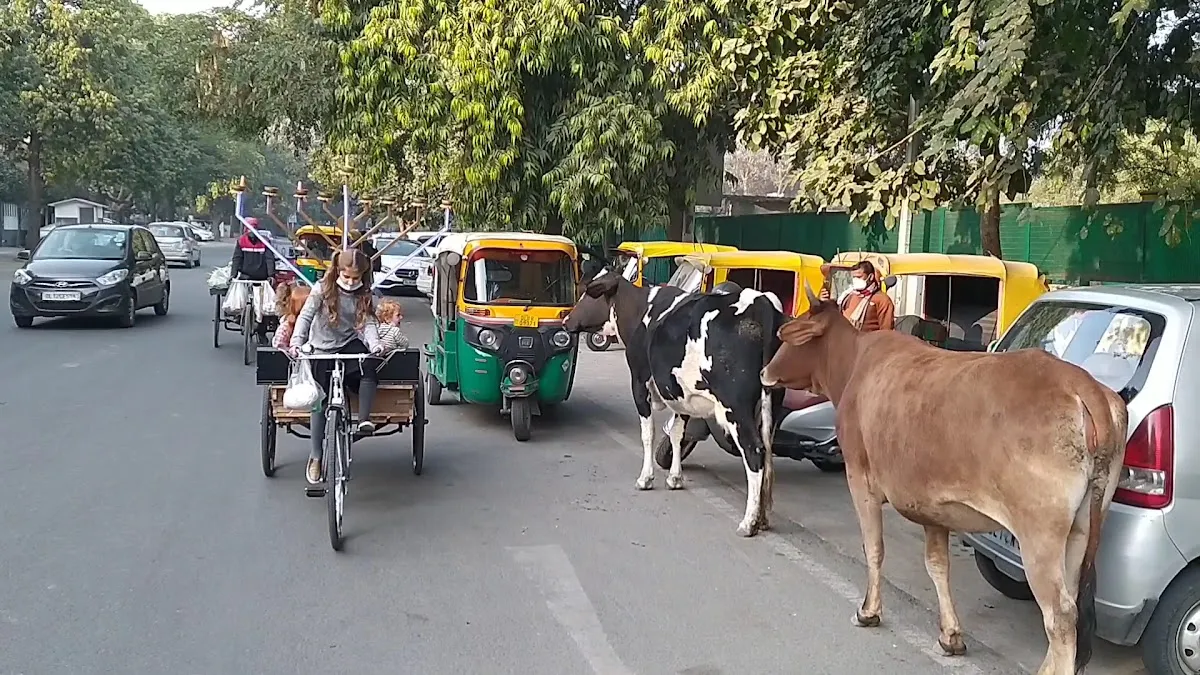 Chabad - South Delhi — foto 3