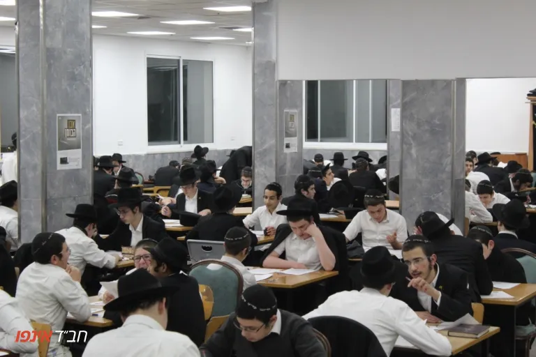 Chabad Yeshiva Ketana Safed — foto 7
