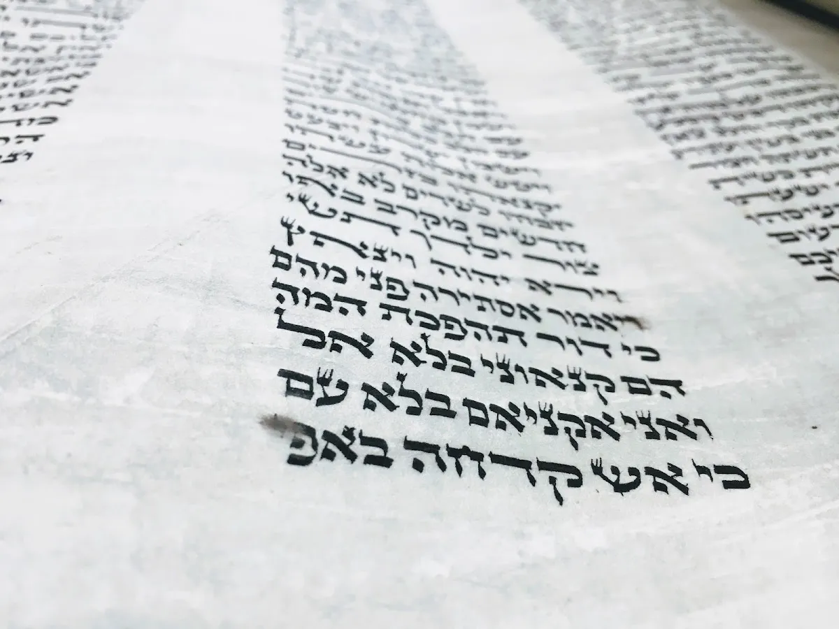 Charlotte Torah Center — photo 9