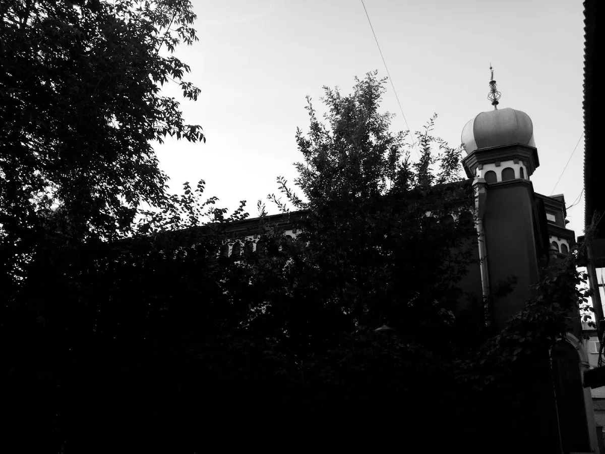 Chelyabinsk Synagogue and Jewish Community Center (Chabad) — foto 4