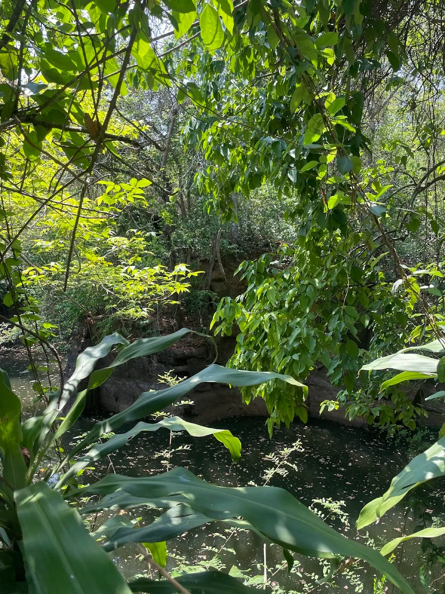 Chendamangalam Jewish Cemetery — foto 5