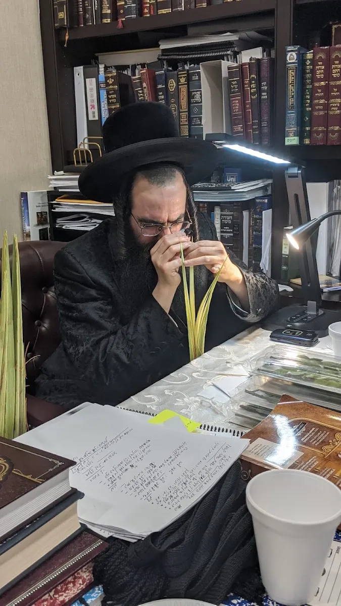 Chicago Chassidishe Kollel — foto 6
