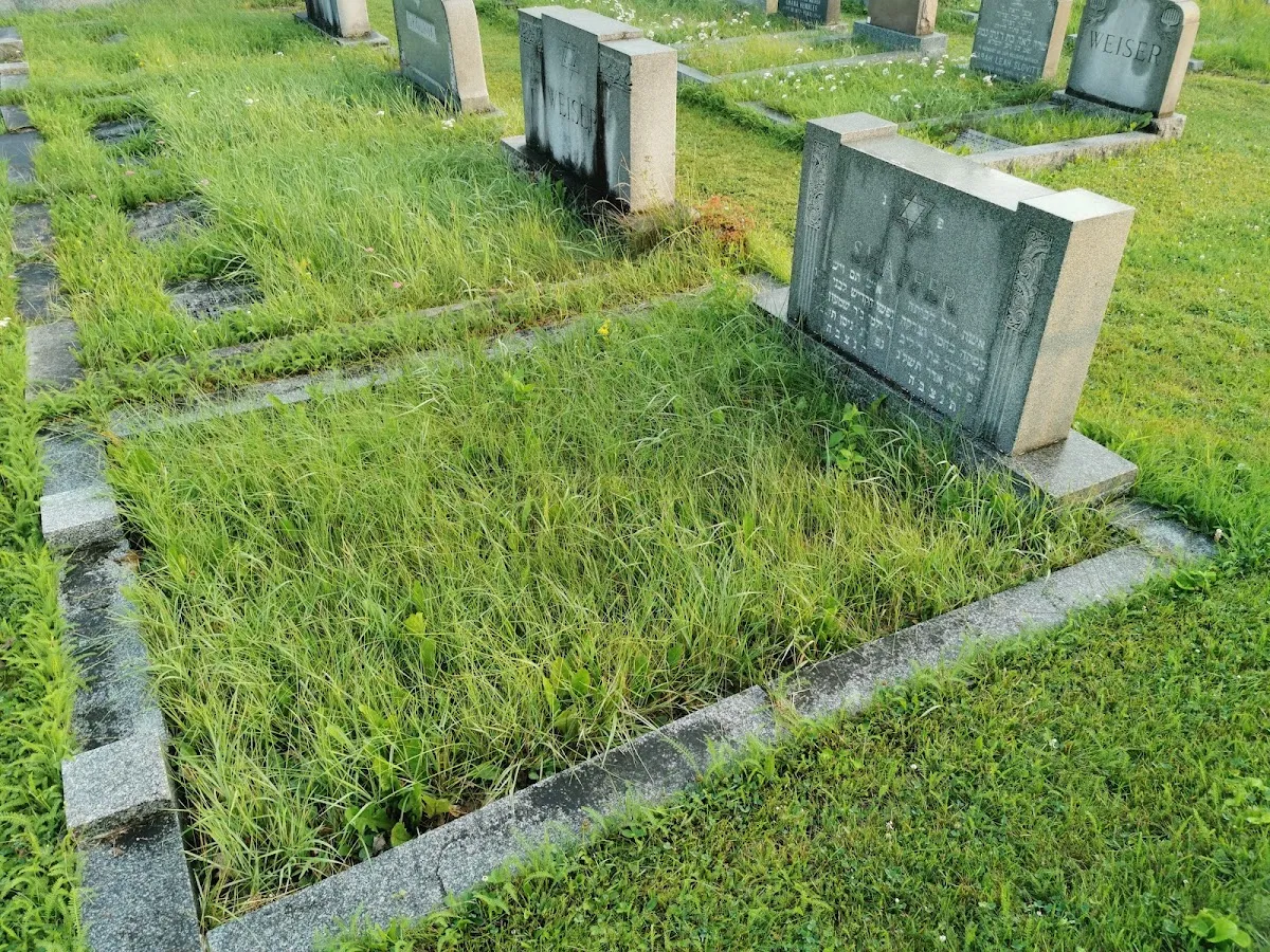 Cimetière juif Beth Israël - Beth Israël Jewish Cemetary — photo 4