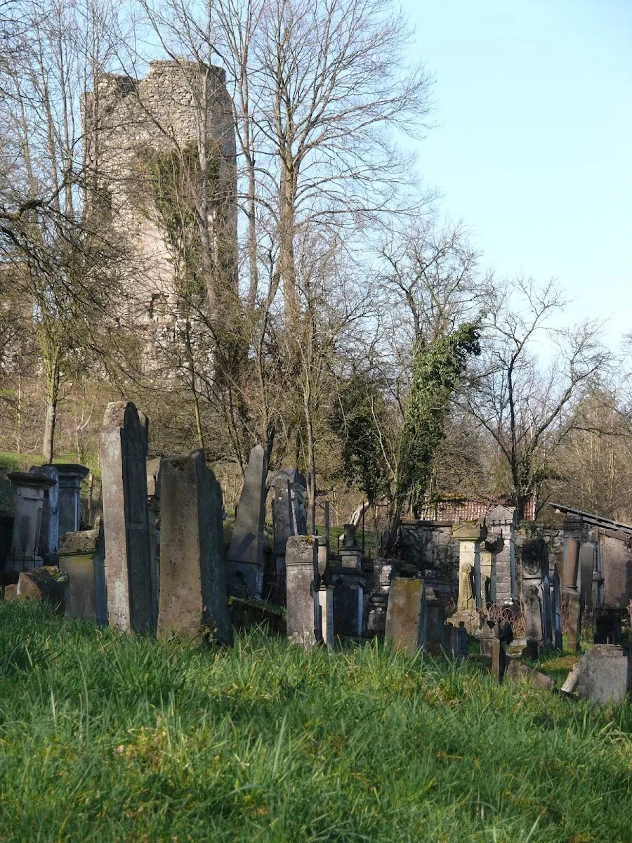 Cimetière juif de Frauenberg — foto 6