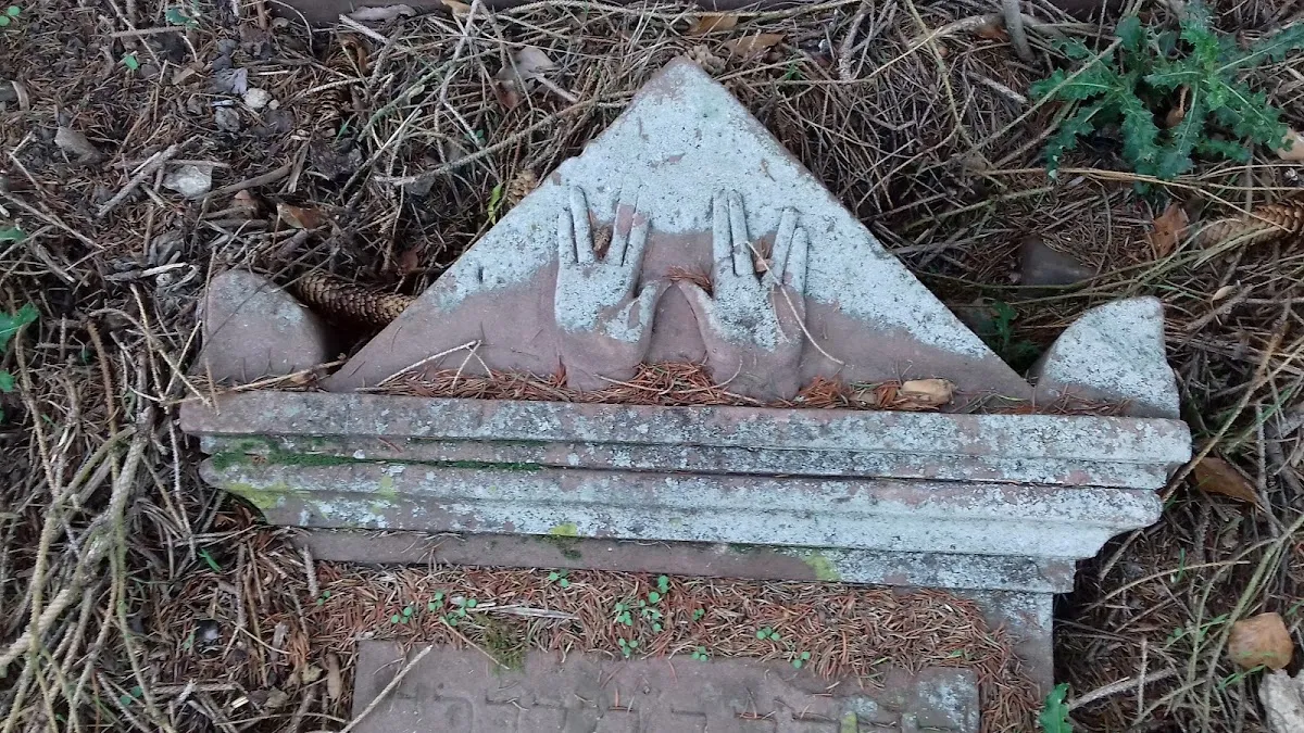 Cimetière juif de Frauenberg — foto 8