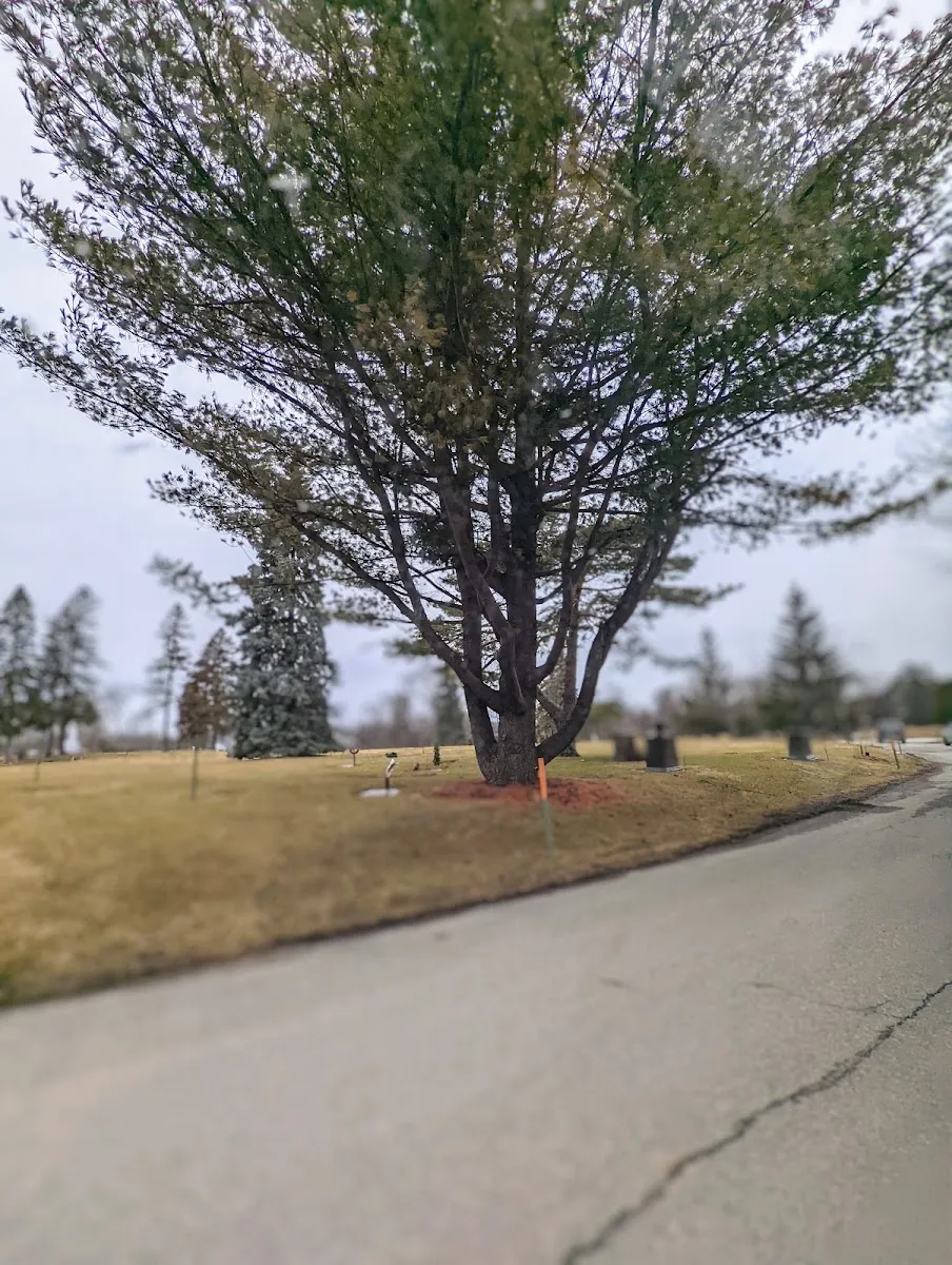 Cimetière Kehal Israel — foto 5