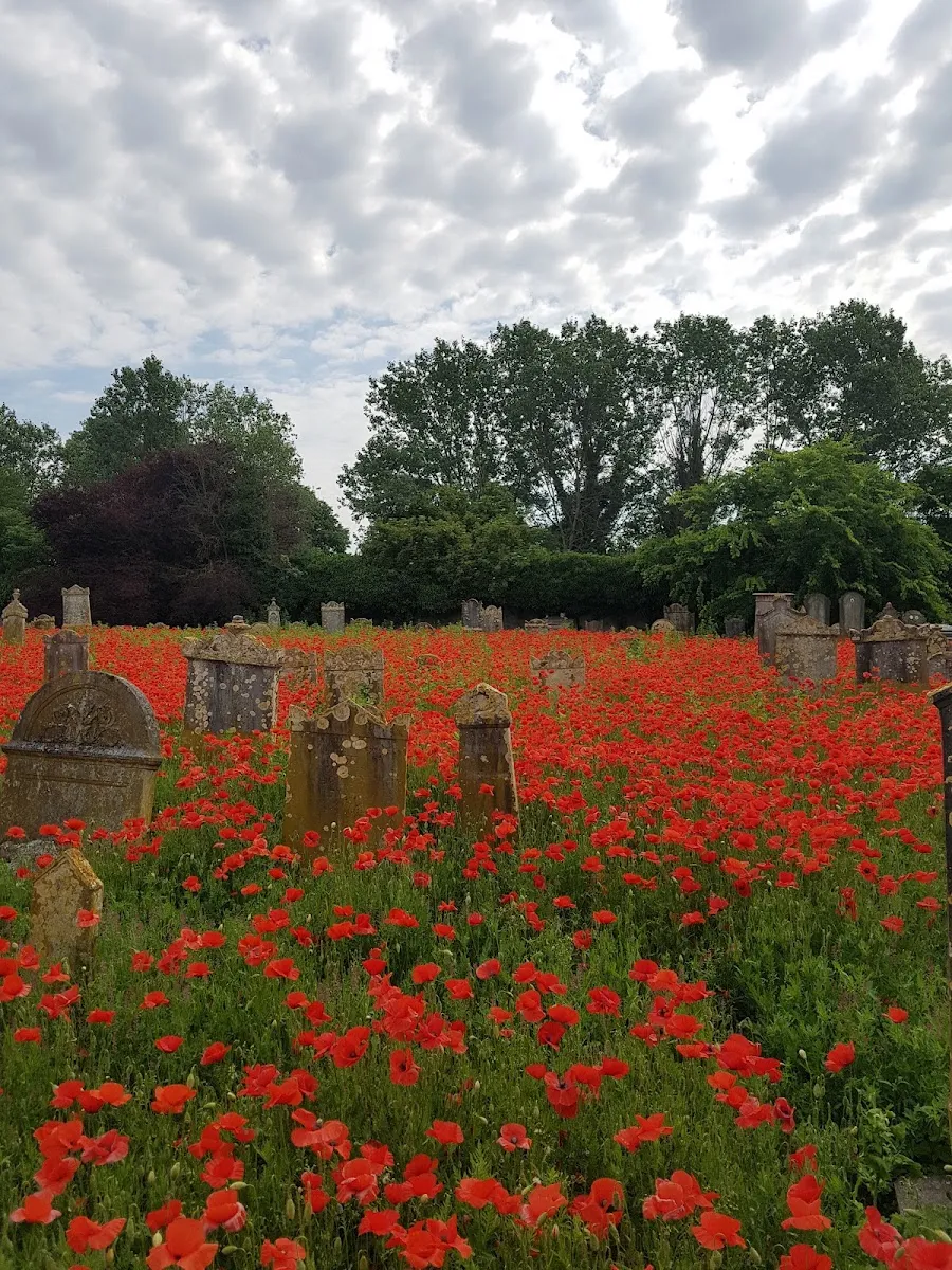 Cimitero Ebraico di Mantova — photo 4