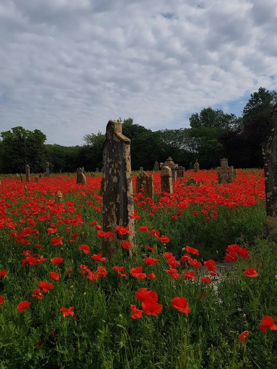 Cimitero Ebraico di Mantova — photo 6