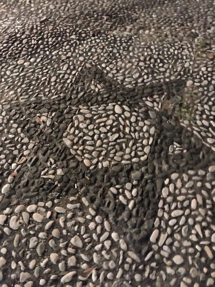 Cimitero Ebraico di Verona — photo 7