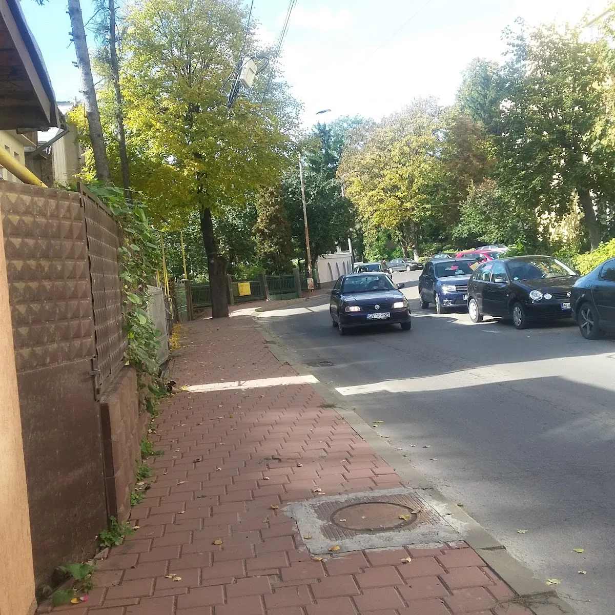 Cimitirul Evreiesc Suceava — foto 4