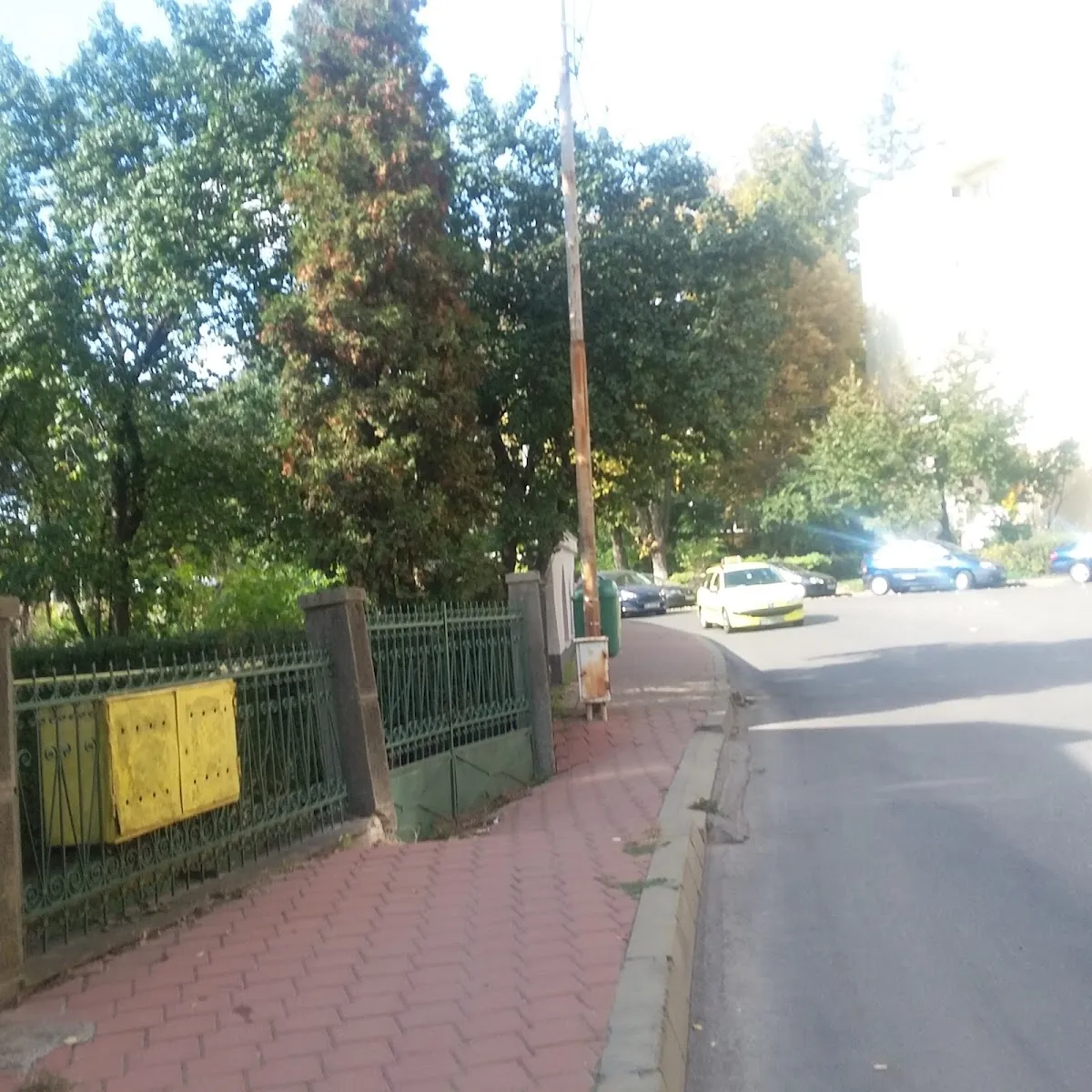 Cimitirul Evreiesc Suceava — foto 5