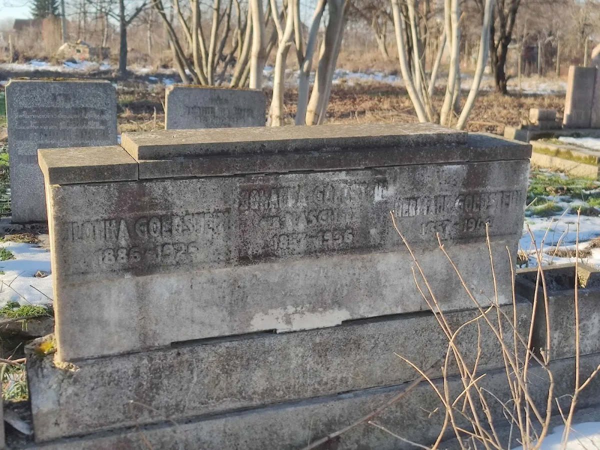 Cimitirul Evreiesc Timișoara — foto 3