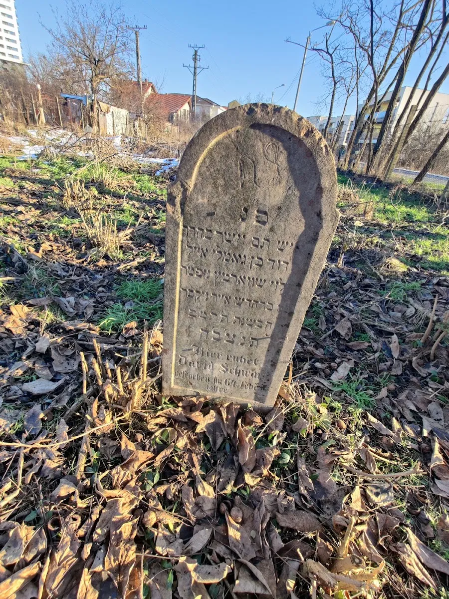 Cimitirul Evreiesc Timișoara — foto 4