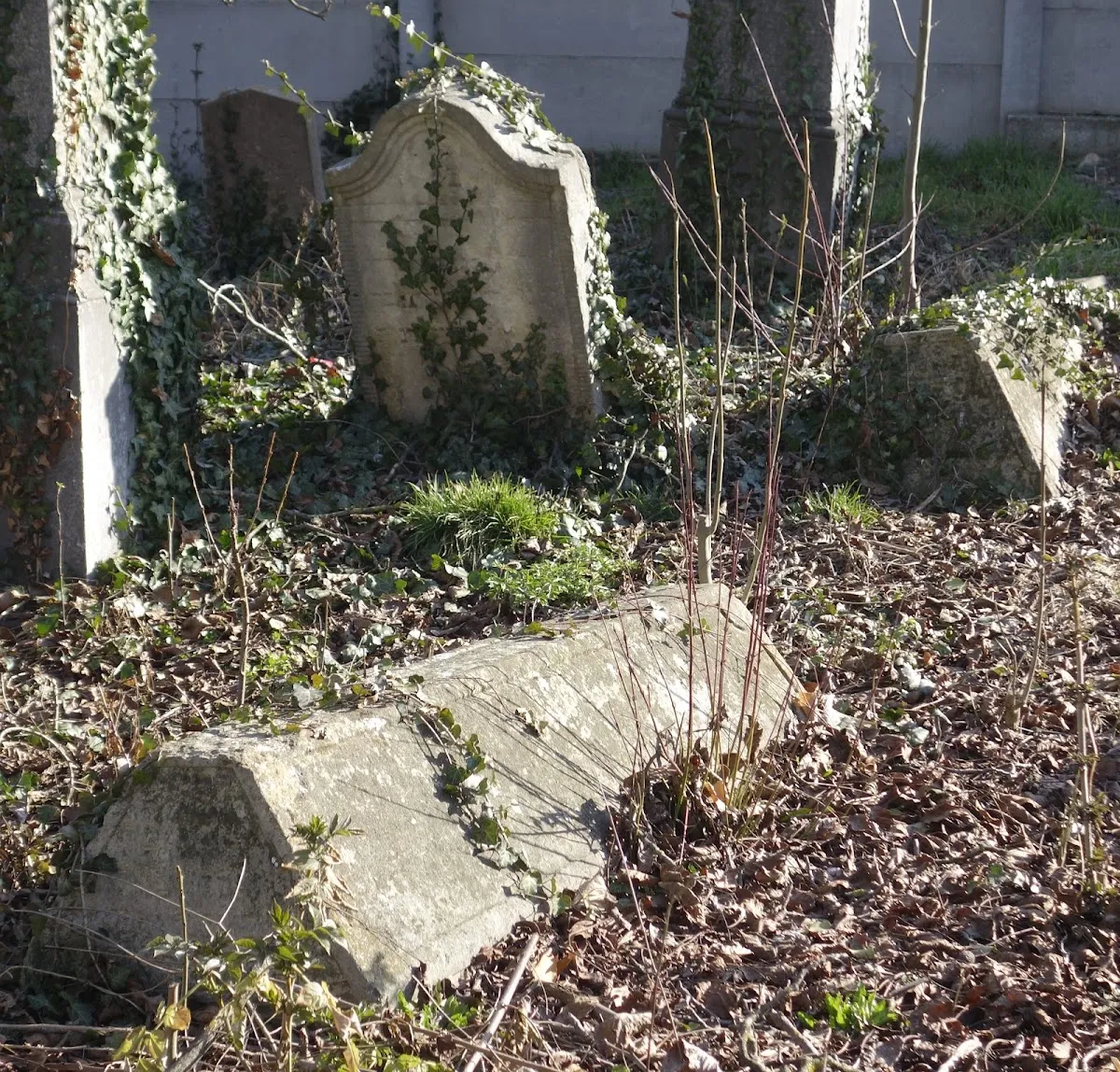 Cimitirul Vechi Evreiesc Cluj — foto 4