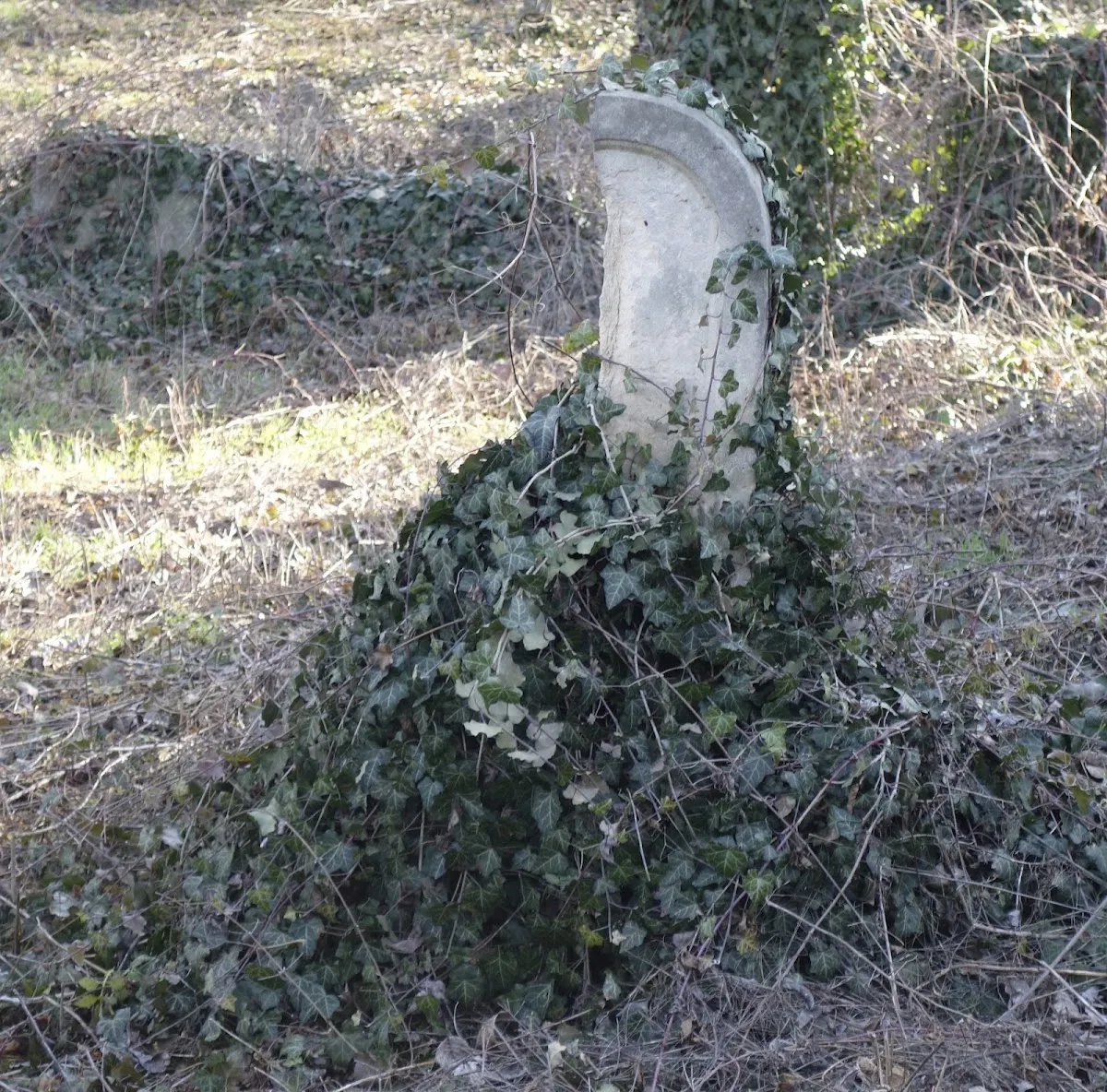 Cimitirul Vechi Evreiesc Cluj — foto 6